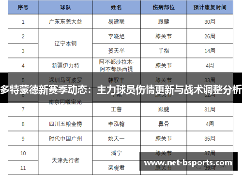 多特蒙德新赛季动态：主力球员伤情更新与战术调整分析