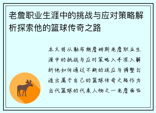 老詹职业生涯中的挑战与应对策略解析探索他的篮球传奇之路
