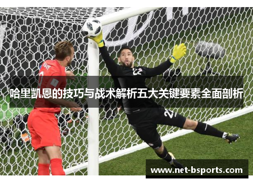 哈里凯恩的技巧与战术解析五大关键要素全面剖析
